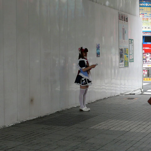 akihabara6.jpg