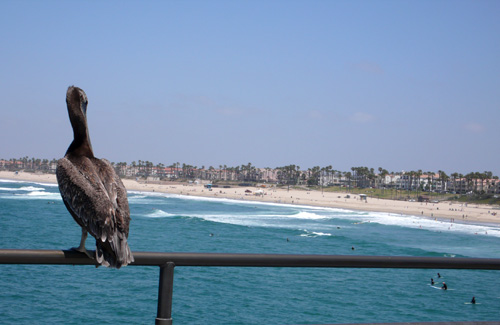 huntingtonbeach5